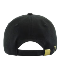 Load image into Gallery viewer, Jet Lag Junkie Dad Hat | WRLD CTZNS
